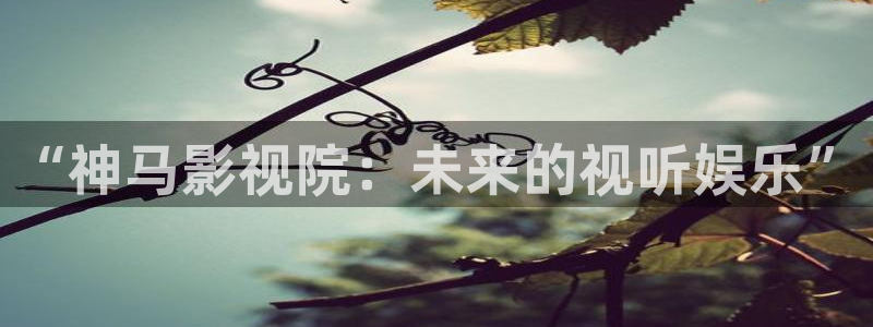 麻豆國產視頻在線觀看